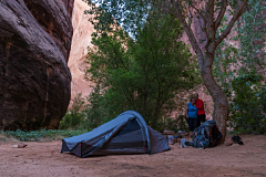 Coyote Gulch Camp
