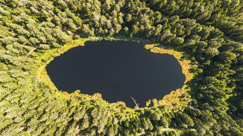Herrenwieser See