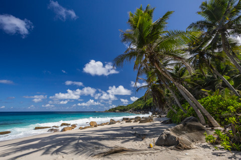 Anse Capucins